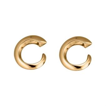 AVON Aretes victoria oferta