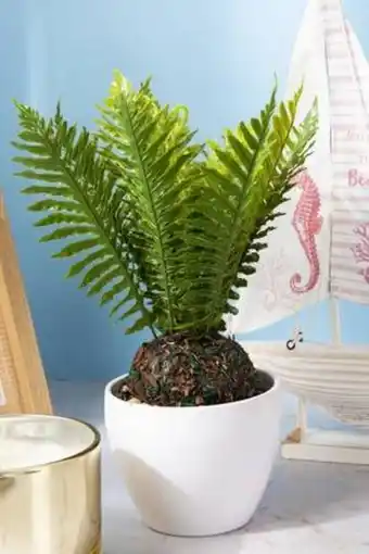 De Prati Planta decorativa con pote yiwu oferta