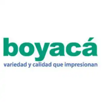Boyacá Alfombra tejida en lana seda strill oferta