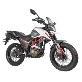 Marcimex Daytona - moto tekken dy250 evo 2023 | blanco oferta