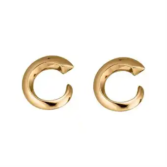 AVON Aretes victoria oferta
