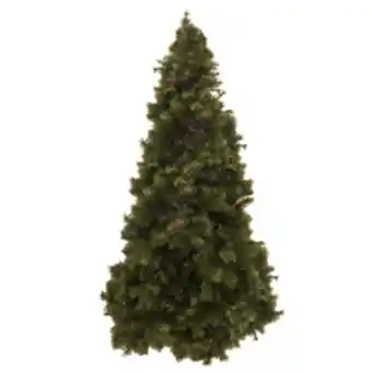 Boyacá Árbol alabama de 6 pies con 464 tips oferta