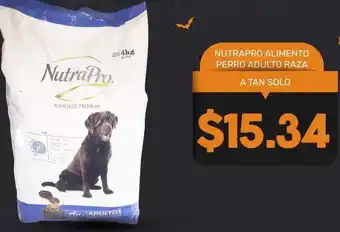 Coral Hipermercados NutraPro Alimento Perro Adulto Raza oferta