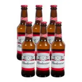 Ferrisariato Six pack cerveza budweiser botella 355ml oferta