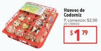 Tia Huevos de codorniz oferta