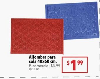 Tia Alfombra para sala 40x60 cm oferta