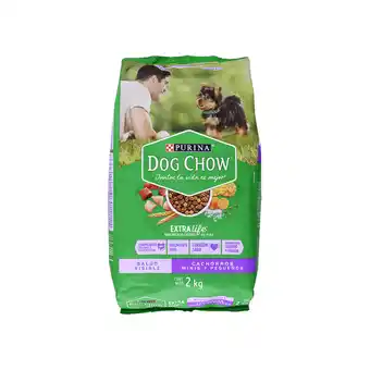 Akí Purina dog chow cachorro razas pequeñas 2 kg oferta