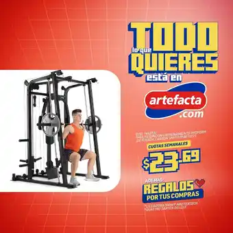 Artefacta MULTIESTACION ENTRENAMIENTO PROFORM DE FUERZA CARBON SMITH PFBE15921 CUOTAS SEMANALES oferta
