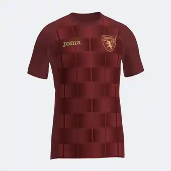 Joma Camiseta manga corta entrenamiento torino fc 23/24 oferta