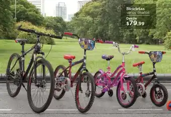 Bicicletas varios diseños