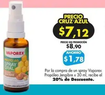 Vaporex Propóleo Jengibre x 30 ml