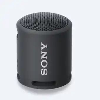 La Ganga Parlante portatil sony oferta