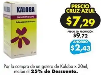 Farmacias Cruz Azul Kaloba x 20ml oferta