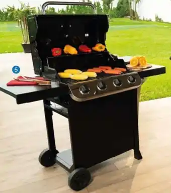 Asador a gas 4 quemadores