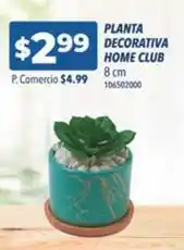 Tia Home club - planta decorativa oferta