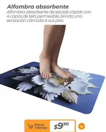Alfombra absorbente