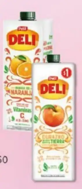 Tia Jugo Deli 2x1L oferta