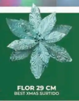 Tia Flor oferta