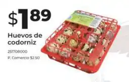 Tia Huevos de codorniz oferta