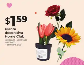 Tia Planta decorativa Home Club oferta