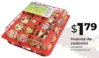 Tia Huevos de codorniz oferta