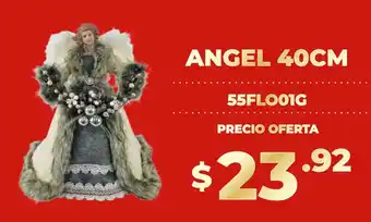 Coral Hipermercados Angel oferta