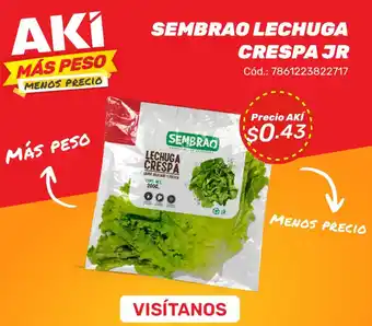 Akí Sembrao lechuga crespa jr oferta