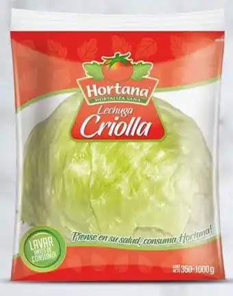 Hortana lechuga criolla