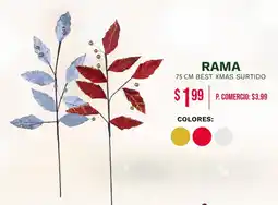 Tia Rama oferta