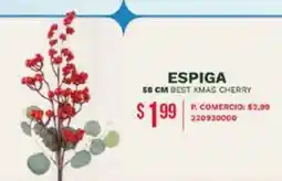 Tia Espiga oferta