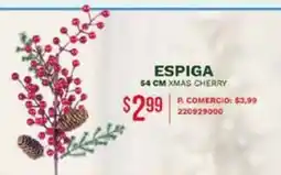 Tia Espiga oferta