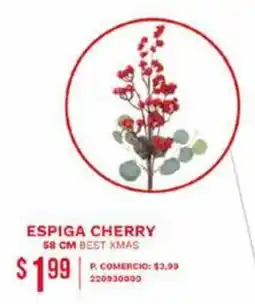 Tia Espiga cherry oferta