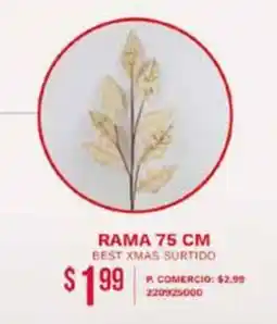 Tia Rama oferta