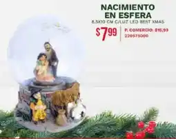 Tia Nacimiento en esfera oferta