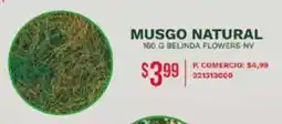 Tia Musgo natural oferta