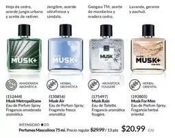 AVON Musk metropolitano/ air/rain/for men oferta