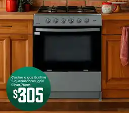 Ferrisariato Cocina a gas ecoline 5 quemadores, grill silver oferta