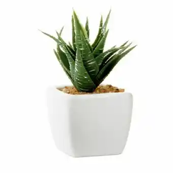 Tia Planta decorativa 5 cm Homeclub oferta
