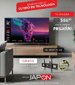 Almacenes Japón Riviera tv 65" oferta