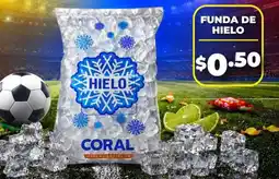 Coral Hipermercados Funda de hielo oferta