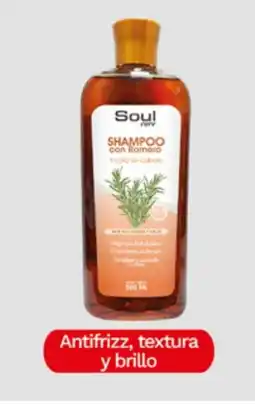 Tia Soul shampoo antifrizz, textura y brillo oferta