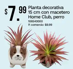 Tia Home club planta decorativa, perro oferta