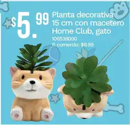 Tia Home club planta decorativa con macetero gato oferta