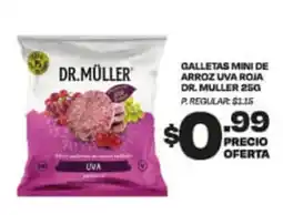 Delportal Supermercados Galletas mini de arroz uva roja Dr. Müller oferta