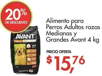 Supermaxi Alimento para Perros Adultos Razas Medianas y Grandes Avant 4kg oferta