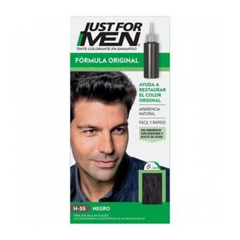 Las Fragancias Tinte en shampoo oferta