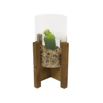 Pycca Cactus decorativo con base 18 cm oferta