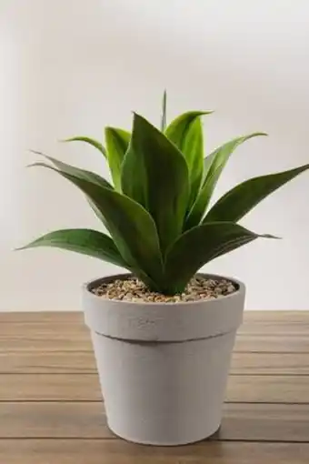 De Prati Planta artificial aloe vera atmosphere oferta