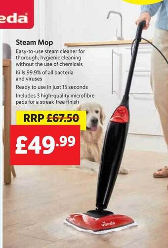 Lidl Steam Mop offer