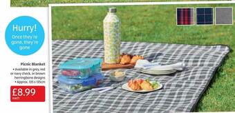Aldi Picnic Blanket offer